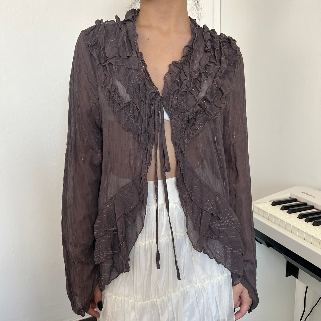 Brown Fairy Ruffles Shimmery Tie Long Sleeves Top